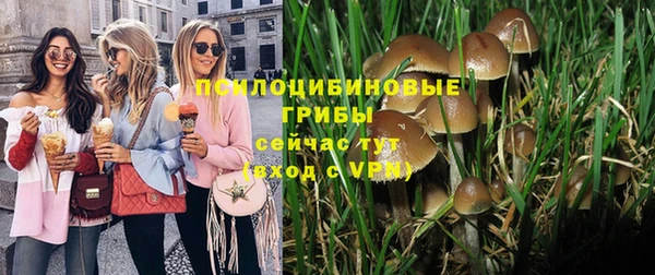 ECSTASY Беломорск