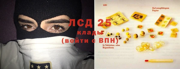 ГАЛЛЮЦИНОГЕННЫЕ ГРИБЫ Белоозёрский