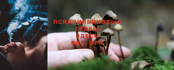 МДПВ Баксан