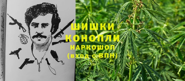 ГАЛЛЮЦИНОГЕННЫЕ ГРИБЫ Белоозёрский